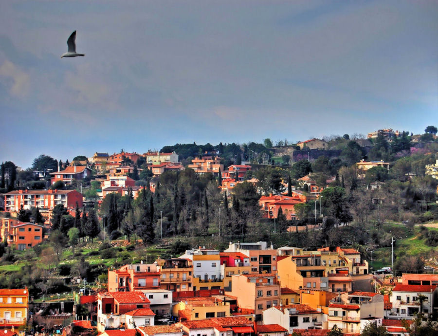 Fotografie von NatashaP für DesignCrowd (Community Contests) | Design #9015397