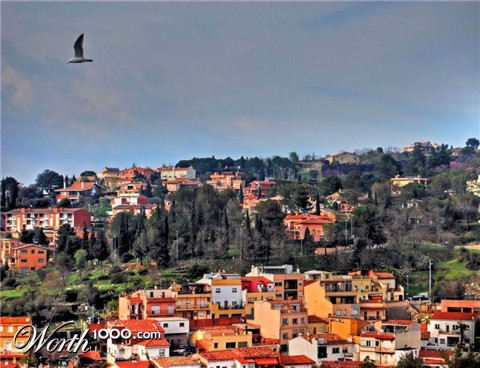 Photography by NatashaP