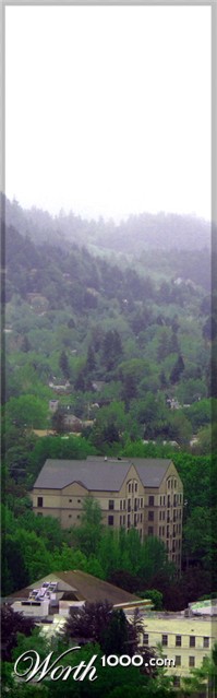 Photography by IceDesign