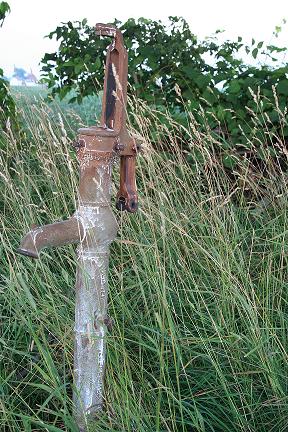 Photography by starshimmer for DesignCrowd (Community Contests) | Design #9010730