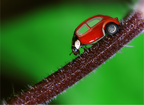 Photoshop Design by YLMind for DesignCrowd (Community Contests) | Design #9015492