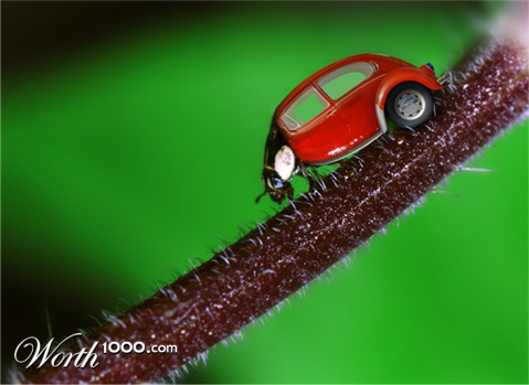 Photoshop Design by YLMind