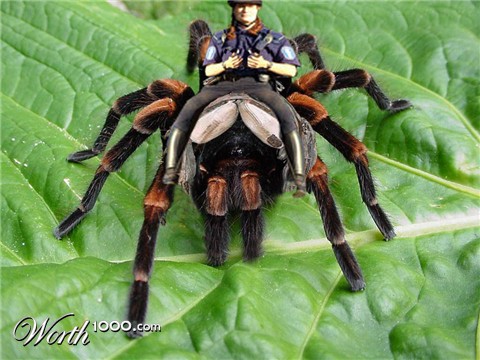 Photoshop Design by maria18