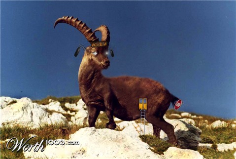 Photoshop Design by rupshi