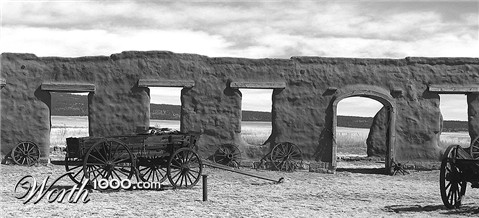 Photography by cshutt