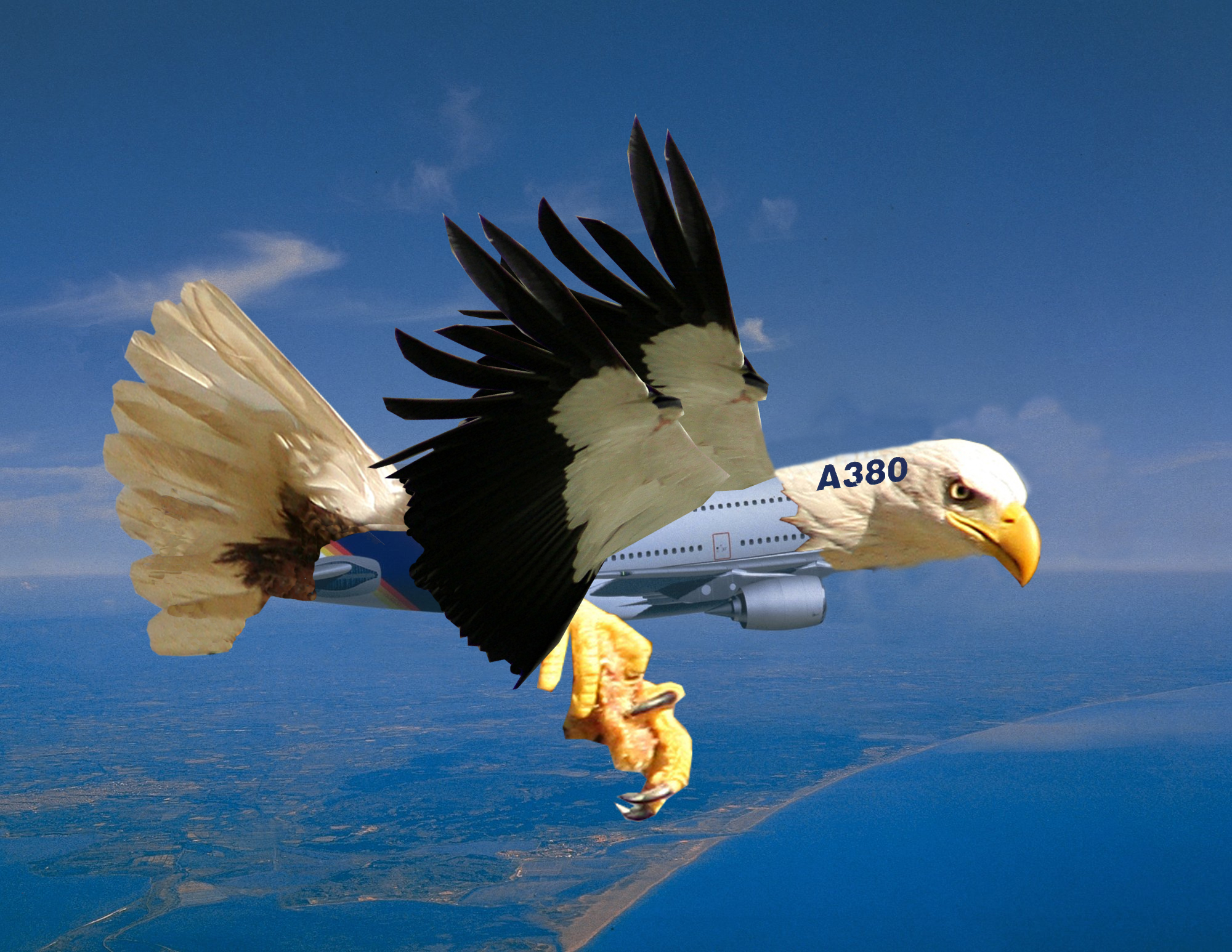 Photoshop Design by Marta0 for DesignCrowd (Community Contests) | Design #9015524