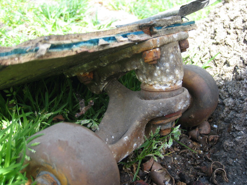 Photography by kelaltieri for DesignCrowd (Community Contests) | Design #9010766