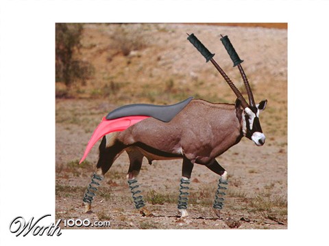 Photoshop Design by WiseMonkey