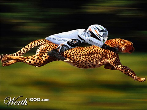 Photoshop Design by 1020Rocker