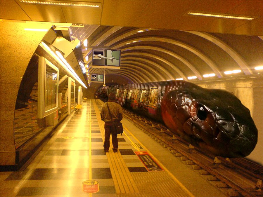 Photoshop Design by Nancar19 for DesignCrowd (Community Contests) | Design #9015573