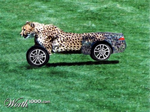 Photoshop Design by Sybil32