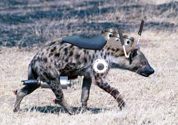 Photoshop Design by patmunar for DesignCrowd (Community Contests) | Design #9015549