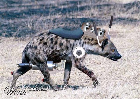 Photoshop Design by patmunar