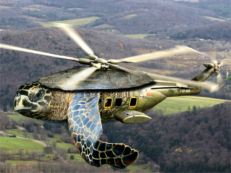 Diseño de Photoshop por maximusmark para DesignCrowd (Community Contests) | Diseño #9015590