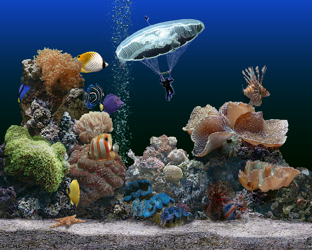 Photoshop Design by laik84 for DesignCrowd (Community Contests) | Design #9015565