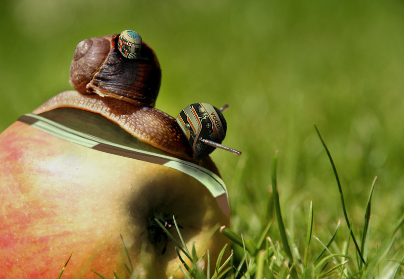 Photoshop Design by YoshiSword for DesignCrowd (Community Contests) | Design #9015634