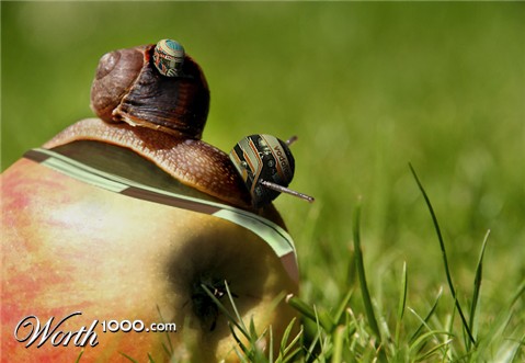 Photoshop Design by YoshiSword