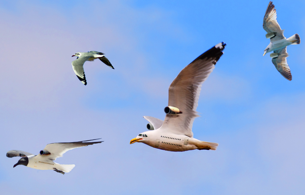 Photoshop Design by Vigkvagk for DesignCrowd (Community Contests) | Design #9015639