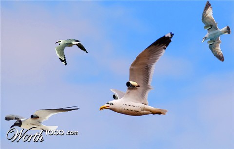 Photoshop Design by Vigkvagk