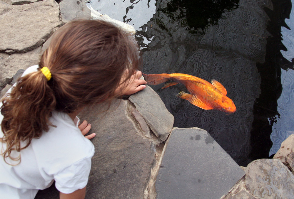Fotografía por sculptor999 para DesignCrowd (Community Contests) | Diseño #9012534