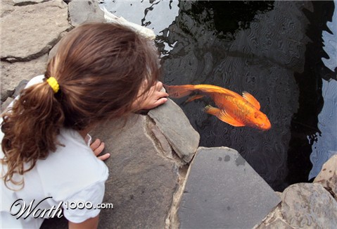 Photography by sculptor999