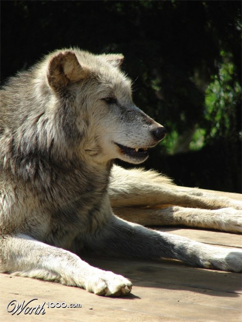 Photography by palegothicangel