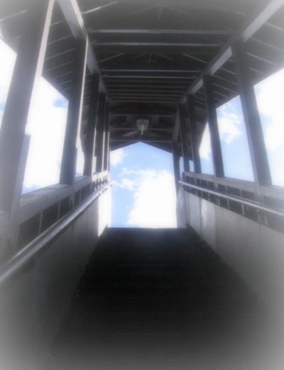 Fotografía por MissMea para DesignCrowd (Community Contests) | Diseño #9006944