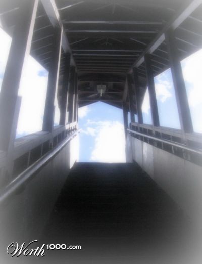 Photography by MissMea