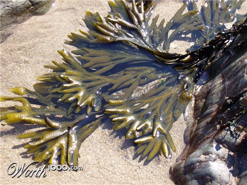 Photography by splong