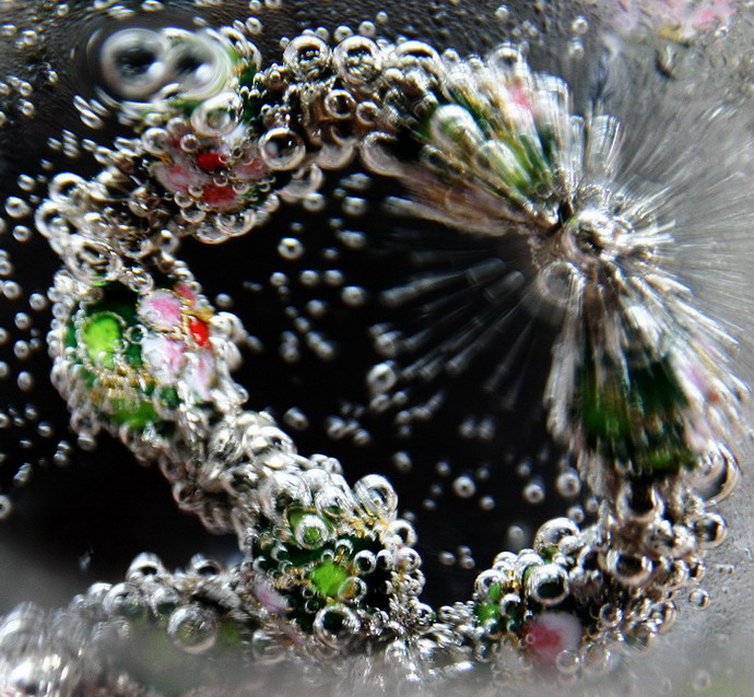 Photography by JillianRed for DesignCrowd (Community Contests) | Design #9012549