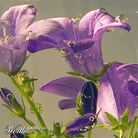 Photography by sproglet