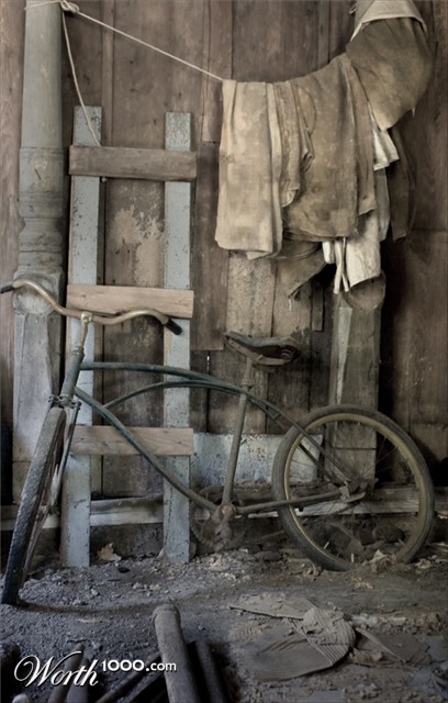 Photography by bozosafari