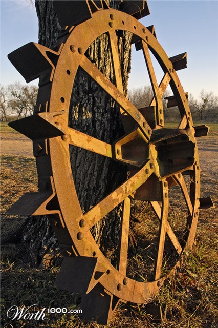 Photography by Fishcat