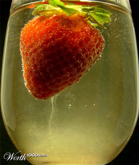 Photography by Feature