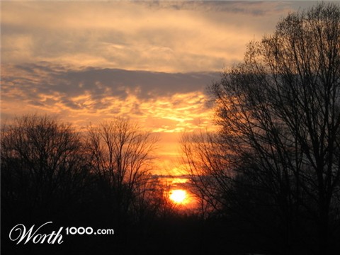 Photography by Artemis24