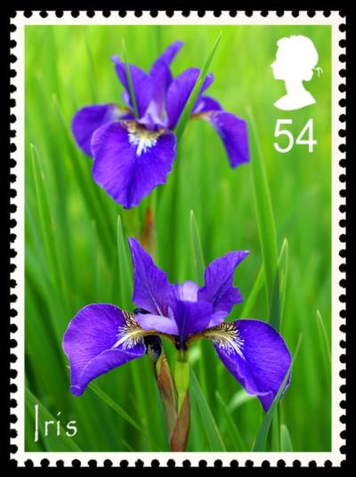 Photography by fatheroftwo