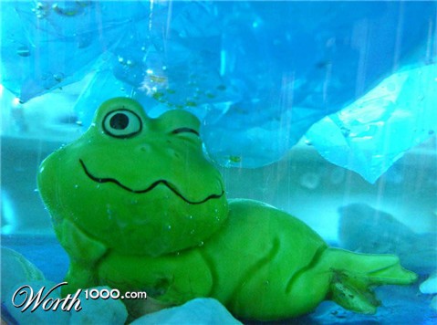 Photography by cliknsnap