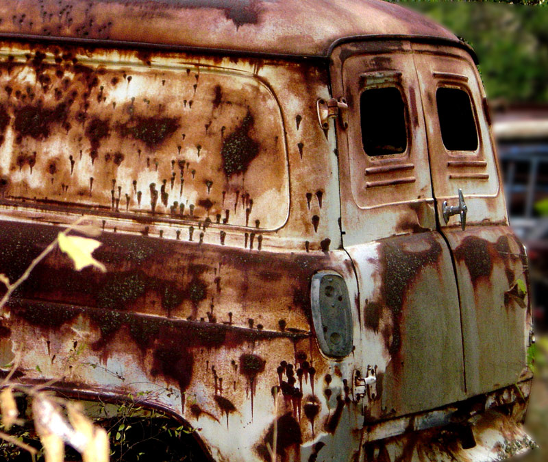 Photography by tigercrosse for DesignCrowd (Community Contests) | Design #9010956