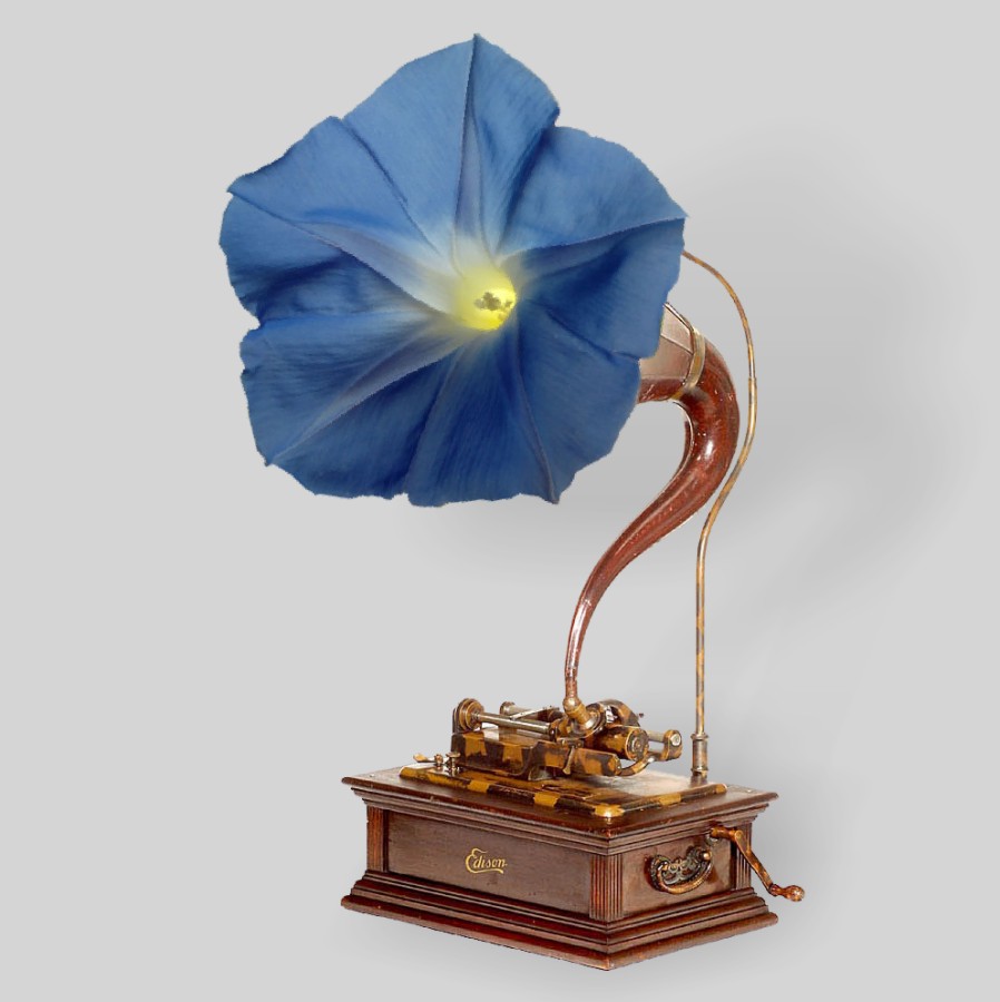 Photoshop Design by Fishwife for DesignCrowd (Community Contests) | Design #9010473