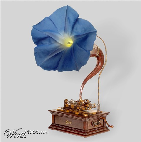 Photoshop Design by Fishwife