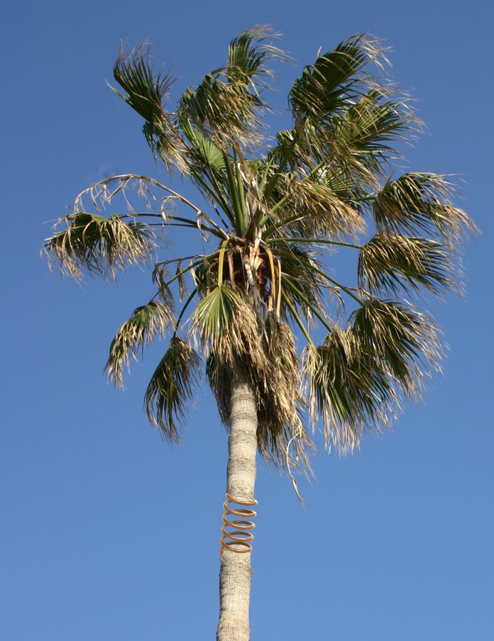 Photoshop Design by JClark8220 for DesignCrowd (Community Contests) | Design #9010482