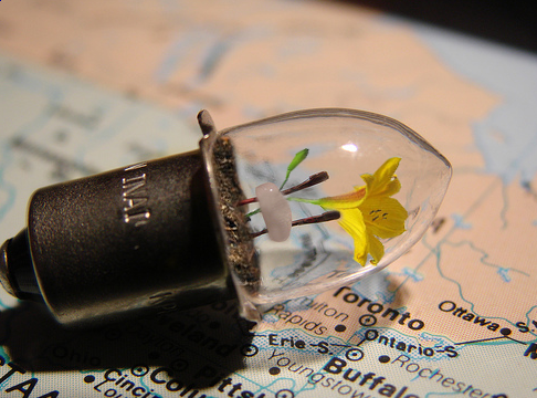 Diseño de Photoshop por Chasse para DesignCrowd (Community Contests) | Diseño #9010506