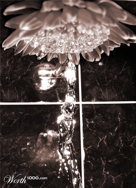 Photoshop Design by Noesis