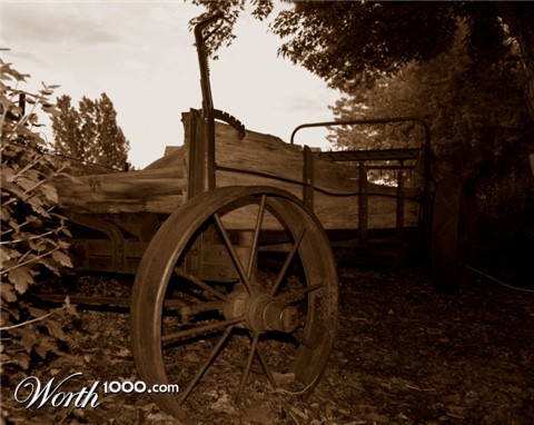 Photography by mmc9496