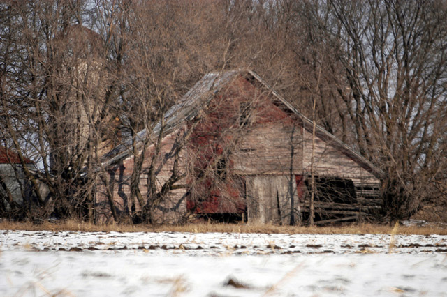 Fotografía por rrg239 para DesignCrowd (Community Contests) | Diseño #9011007