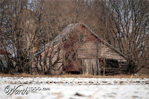 Photography by rrg239