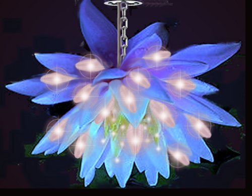 Photoshop Design by LadyHawk771 for DesignCrowd (Community Contests) | Design #9010577