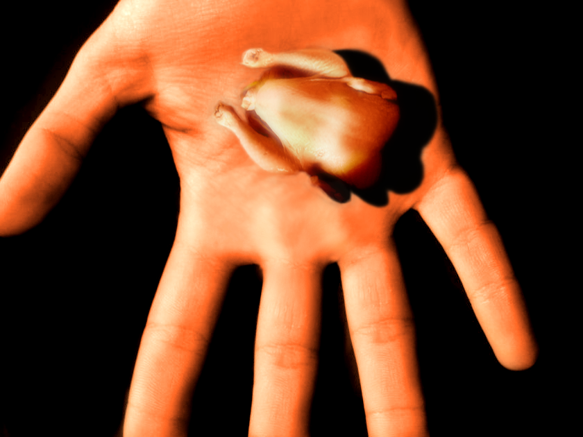 Design Photoshop par nigiro pour DesignCrowd (Community Contests) | Design #9010523