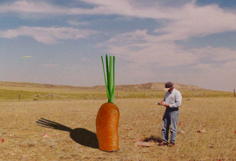 Photoshop Design by NarekM for DesignCrowd (Community Contests) | Design #9010538