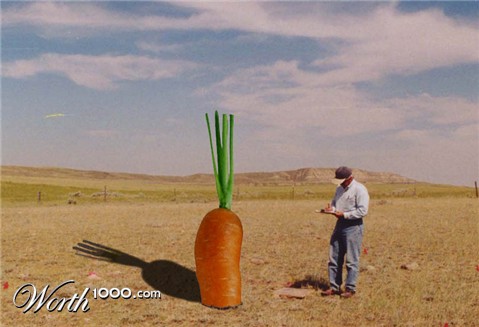 Photoshop Design by NarekM